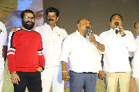 Balgam Movie Success Meet
